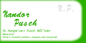 nandor pusch business card